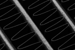 EK-Quantum Surface X560M - White